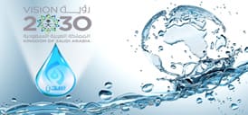 Saudi SDN for Water & Energy