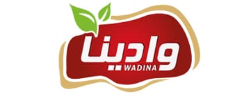 Wadina Group